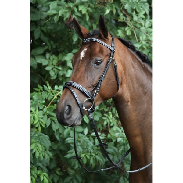 Horka Trense Verdi Sort Pony