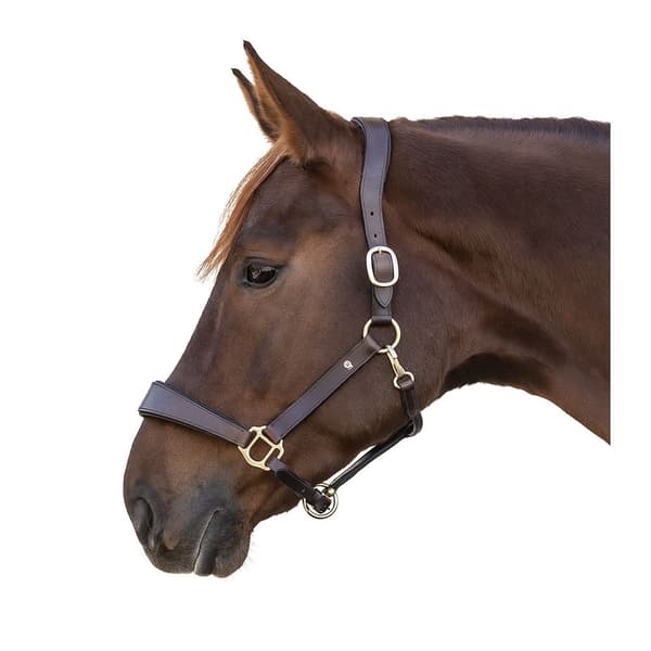 Waldhausen Grime Leather X-line Anatomic Brun Full
