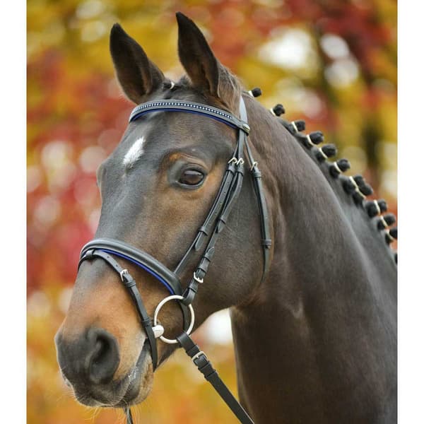 Star Trense Diamant Søvfarvet Cob