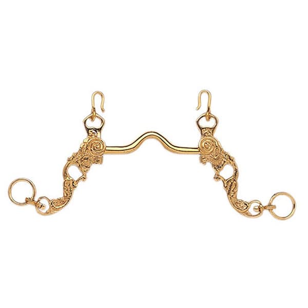 Hispano Hipica Udsmykket E Curb Mundstykke Port Bit Portugues Gylden 13.5 cm