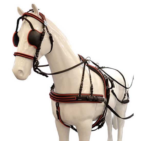 Lexhis Kaksinkertaiset Ajovaljaat Hanover Nylon/pvc Musta Shetland