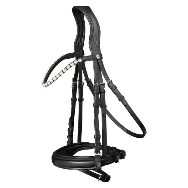 Waldhausen Tygla X-line Beauty Silver Cob