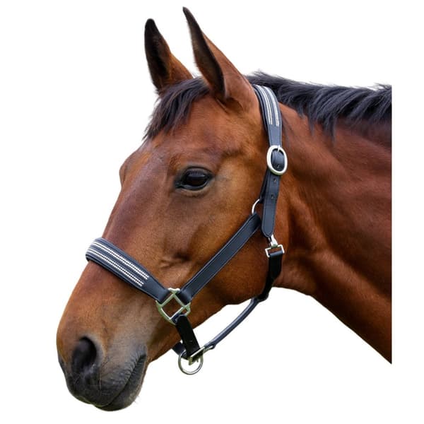Hy Anodize Leather Horse Headcollar