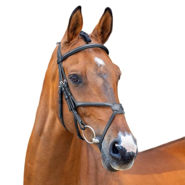 Velociti Læder Hest Grackle Bridle