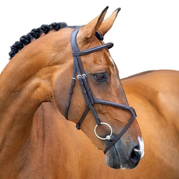 Velociti Læder Hest Grackle Bridle