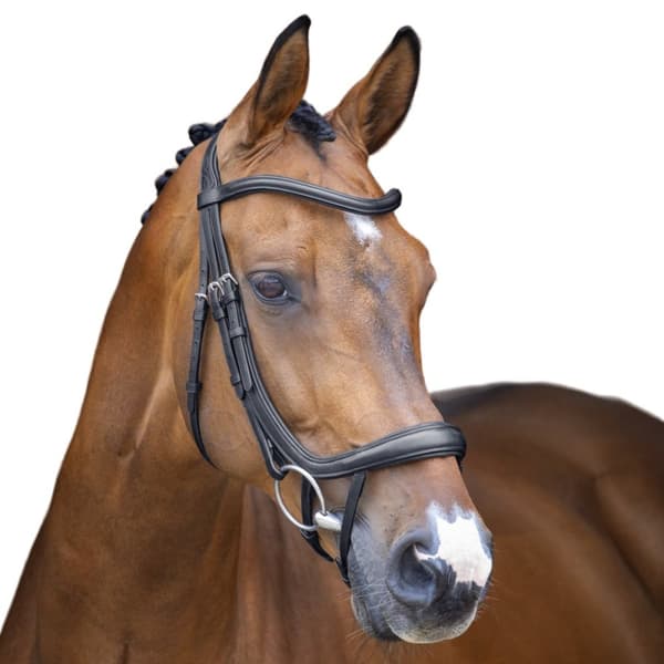 Velociti Leather Ergonomic Horse Flash Bridle