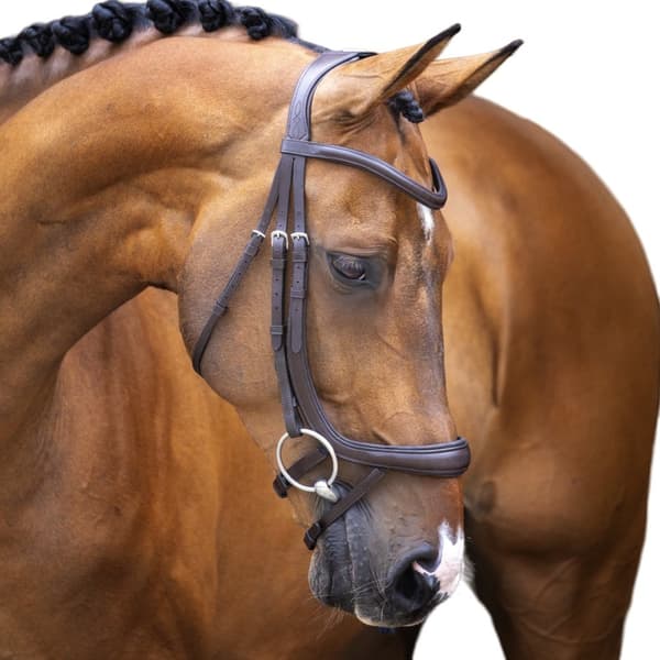 Velociti Leather Ergonomic Horse Flash Bridle