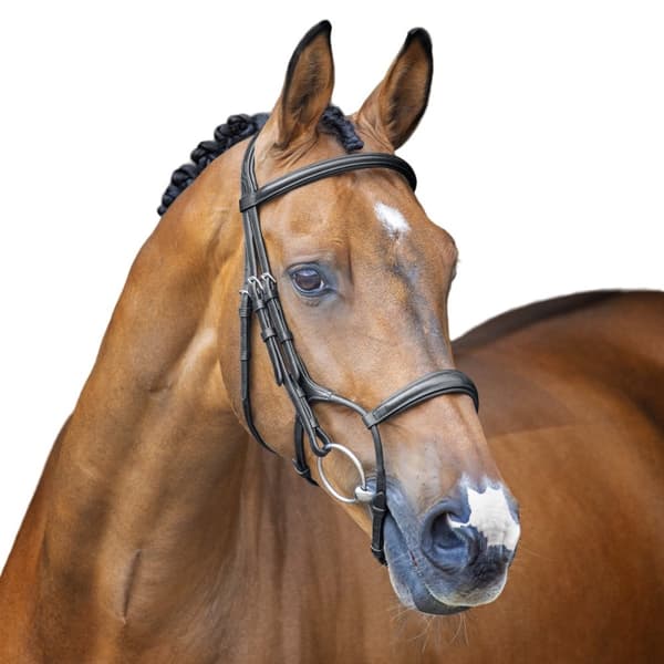 Velociti Lusso Hunter Leather Horse Cavesson Bridle