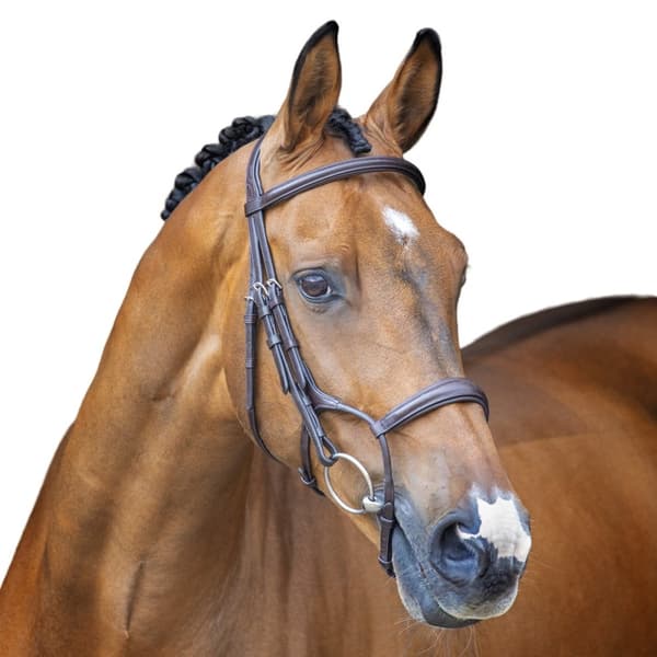 Velociti Lusso Hunter Leather Horse Cavesson Bridle
