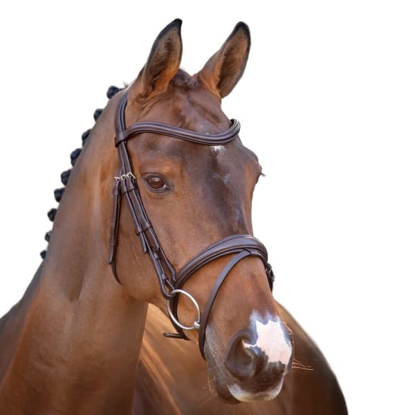 Velociti Lusso Raised Flash Leather Horse Flash Bridle
