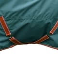 Miniatyrbilde 2 av 4: Weatherbeeta Comfitec Tyro Plus Combo Neck Lightweight Horse Rug