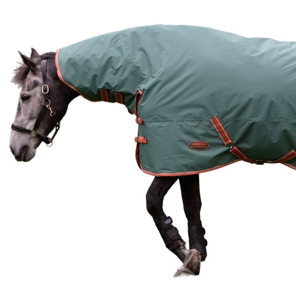 Weatherbeeta Comfitec Tyro Combo Neck Mellanvikt Häst Turnout Rug