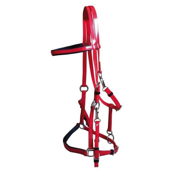 Marjoman Distribucion Suitset Endurance