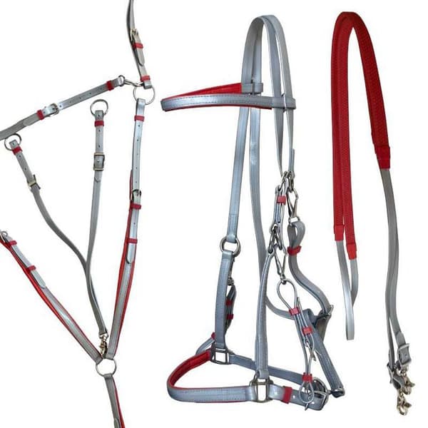 Marjoman Distribucion UppsÄttning Endurance  Full