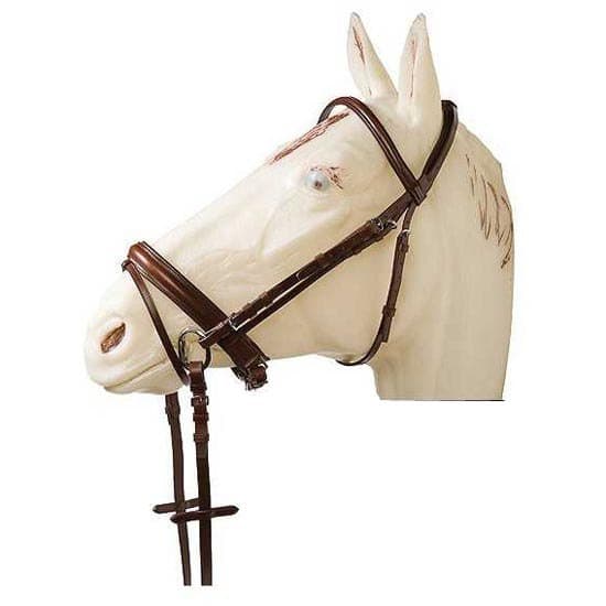Marjoman Distribucion Engelskt Läderträns  Cob
