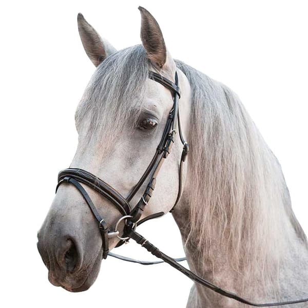 Marjoman Distribucion Engelska Lädergummityglar Träns  Full