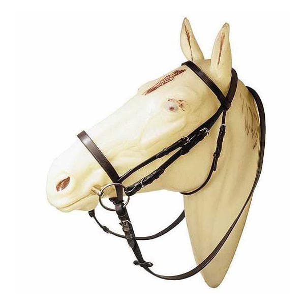Marjoman Distribucion Slät Pannband Och Nosgrimma Träns Beige Full