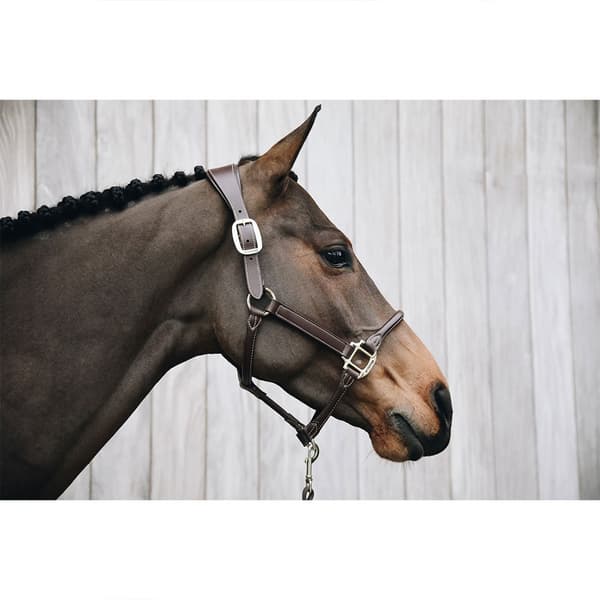 Kentucky Læder Grime Anatomic  Full