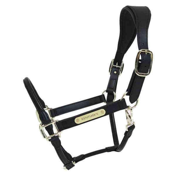 Kentucky Læder Grime Anatomic  Full
