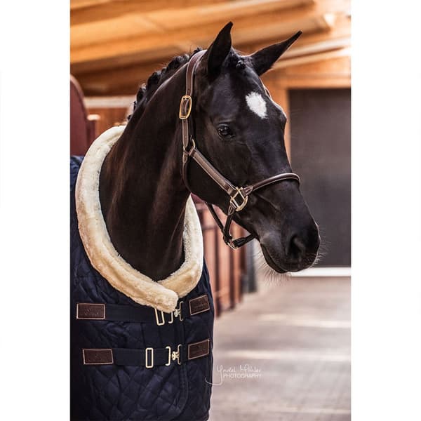 Kentucky Läder Grimma Anatomic  Full