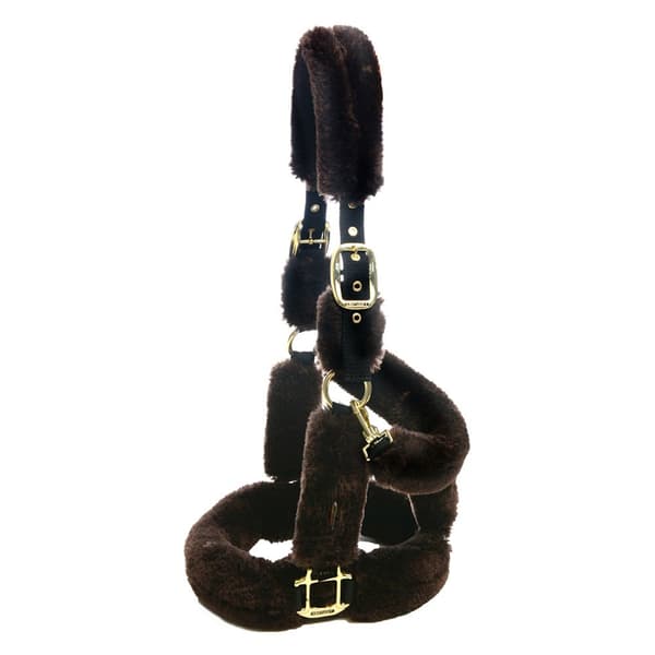 Kentucky Forsendelsesgrime Af Fåreskind Cob