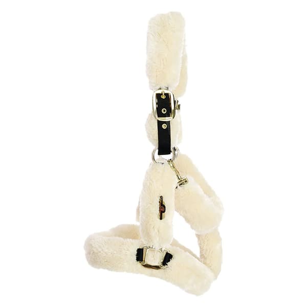 Kentucky Fårskinnsfraktgrimma  Cob