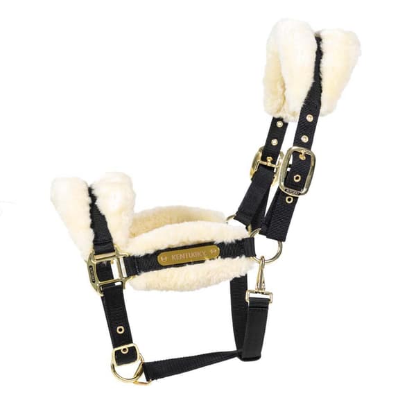 Kentucky Lampaannahkainen Riimu Nylon  Pony