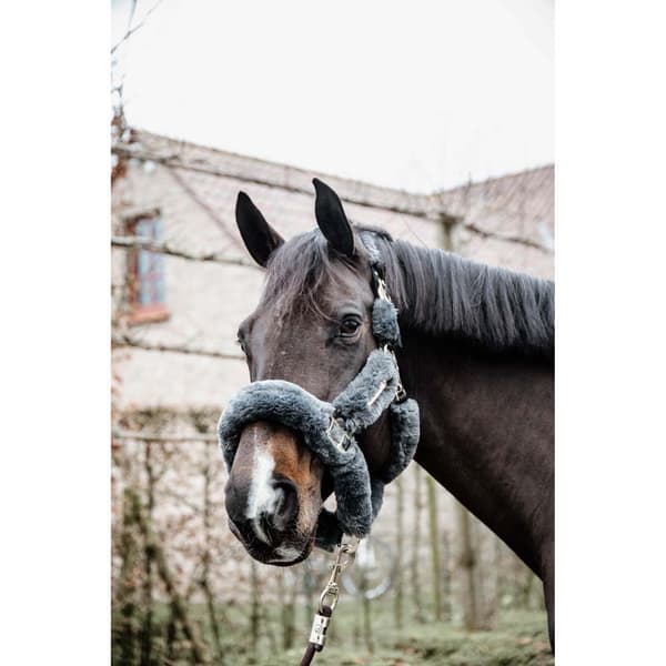 Kentucky Forsendelsesgrime Af Fåreskind  Cob
