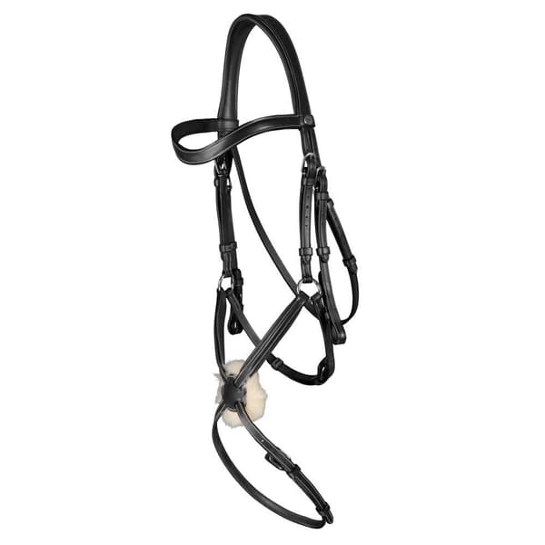 Dyon Nosgrimma Träns Fig 8  Full