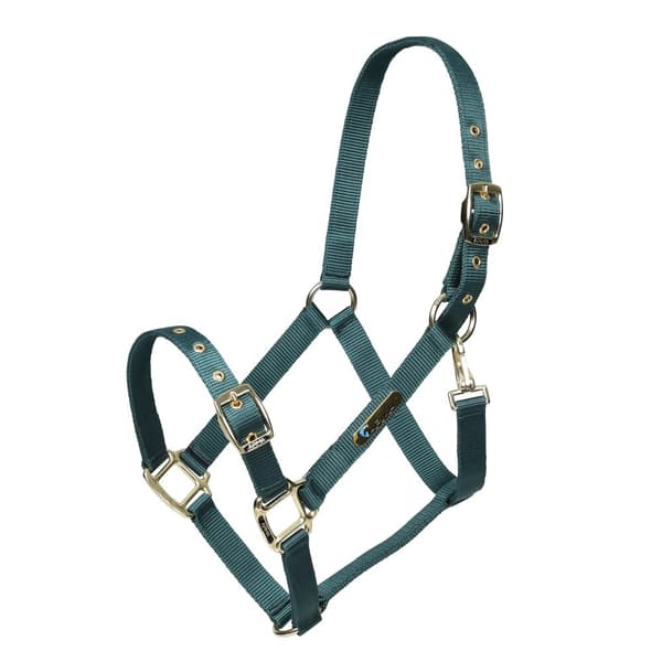 ARMA Adjustable Horse Headcollar