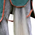 Pikkukuva 2 / 4: Weatherbeeta Comfitec Tyro Plus Standard-Neck Lightweight Horse Rug