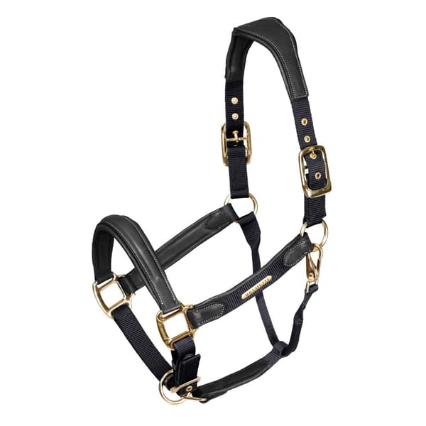 Velociti Lusso Leather Padded Horse Headcollar Black Pony