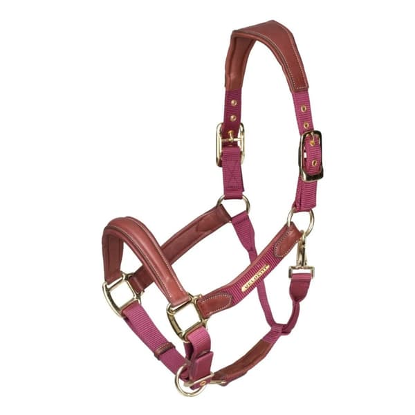 Velociti Lusso Leather Padded Horse Headcollar