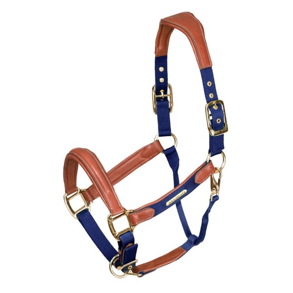 Velociti Lusso Leather Padded Horse Headcollar