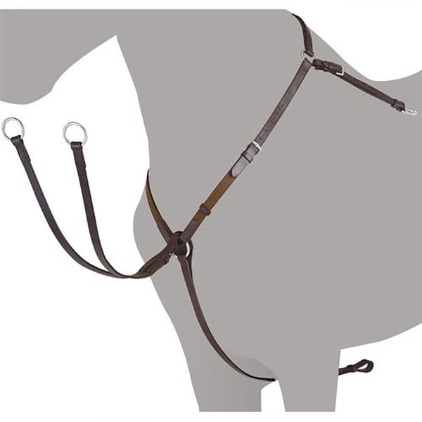 Lexhis Engelsk Crossover Elastic Martingale Bröstplatta Brun Full