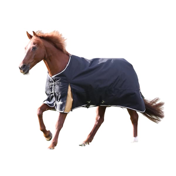 Highlander Plus 200g Standard Neck Horse Turnout Rug