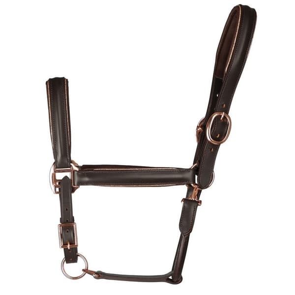 Hy Chromatic Leather Horse Headcollar