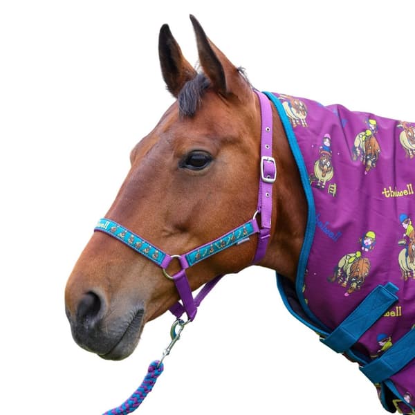 Thelwell Pony Friends Halsband för hästar