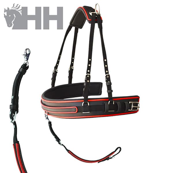 Lexhis Yhden Rintalevyn Ajovaljaat Hanover Nylon/pvc  Full