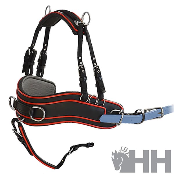 Lexhis Enkel Anatomisk Bröstplatta Hanover  Cob