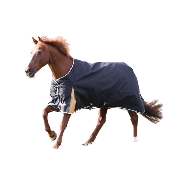 Highlander Plus 200g Horse Combo Turnout Rug Black 5´ 6"
