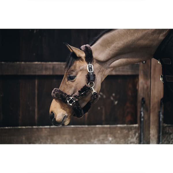 Kentucky Forsendelsesgrime Af Fåreskind Brun Pony