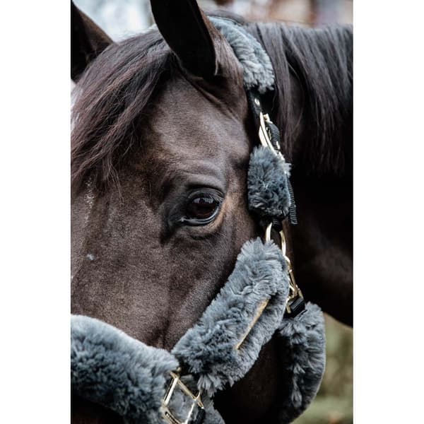 Kentucky Fårskinnsfraktgrimma Grå Pony