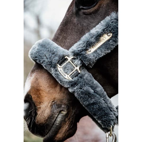 Kentucky Fårskinnsfraktgrimma Grå Pony