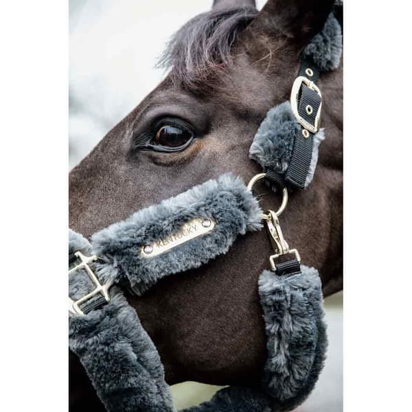 Kentucky Fårskinnsfraktgrimma Grå Pony