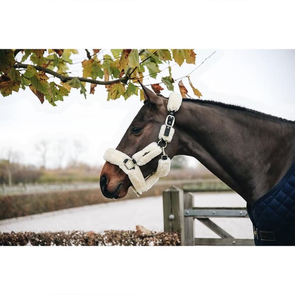 Kentucky Forsendelsesgrime Af Fåreskind Beige Pony