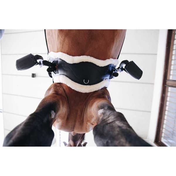 Kentucky Anatomic Cover Kort Fårskinnsgjord  60 cm