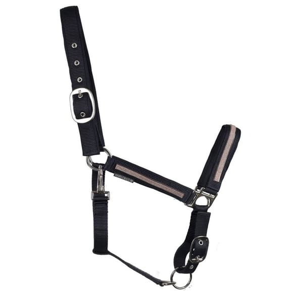 Hy Mystic Horse Headcollar