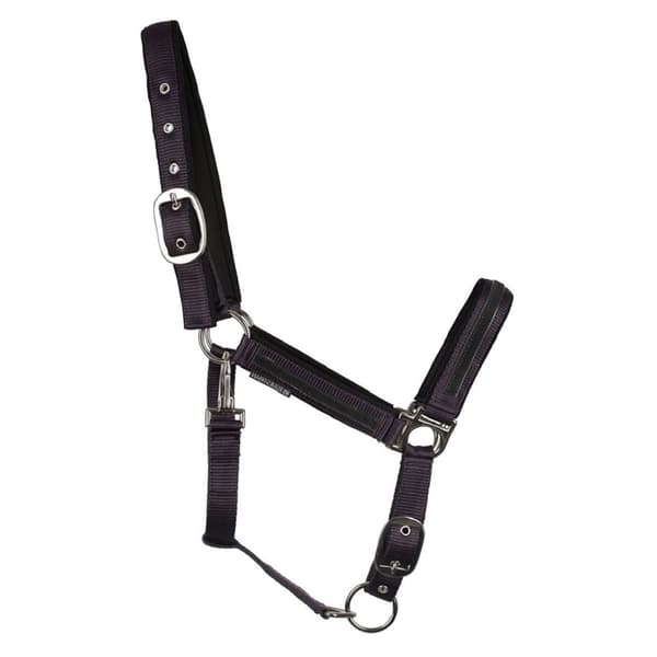 Hy Mystic Horse Headcollar