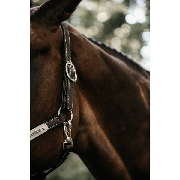 Kentucky Læder Grime Flexible  Cob